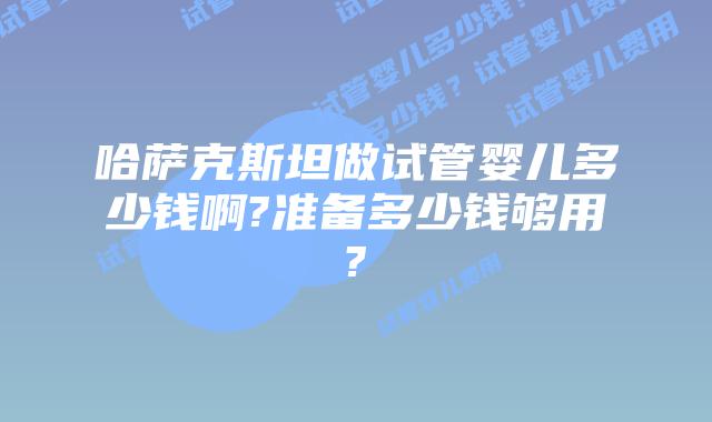 哈萨克斯坦做试管婴儿多少钱啊?准备多少钱够用?
