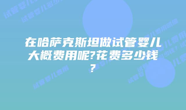 在哈萨克斯坦做试管婴儿大概费用呢?花费多少钱?