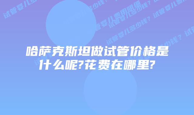 哈萨克斯坦做试管价格是什么呢?花费在哪里?