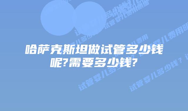 哈萨克斯坦做试管多少钱呢?需要多少钱?