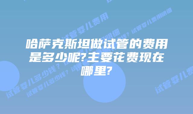 哈萨克斯坦做试管的费用是多少呢?主要花费现在哪里?