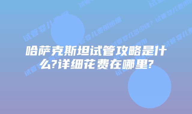 哈萨克斯坦试管攻略是什么?详细花费在哪里?