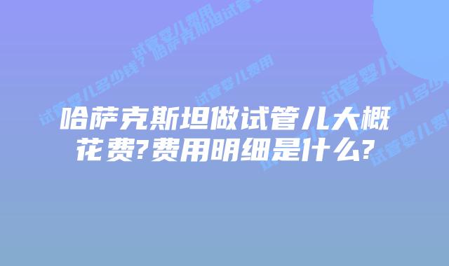 哈萨克斯坦做试管儿大概花费?费用明细是什么?