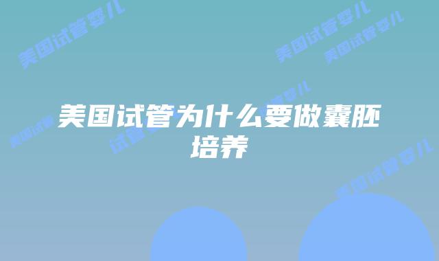 美国试管为什么要做囊胚培养
