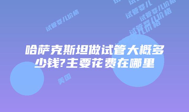 哈萨克斯坦做试管大概多少钱?主要花费在哪里