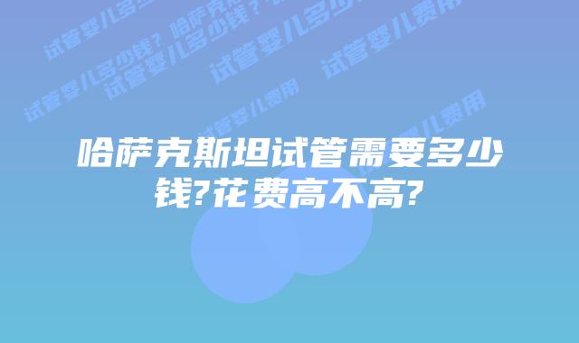 哈萨克斯坦试管需要多少钱?花费高不高?