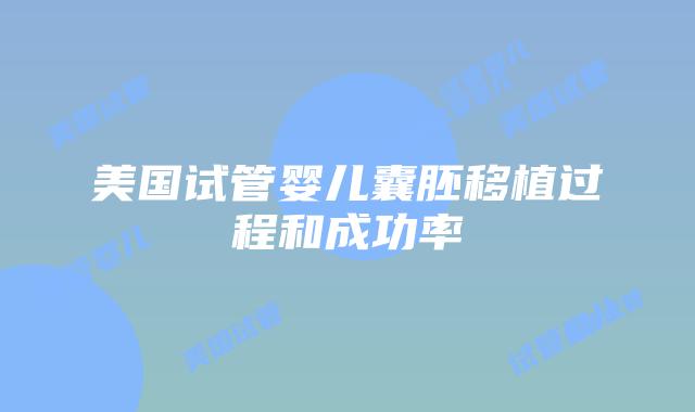 美国试管婴儿囊胚移植过程和成功率