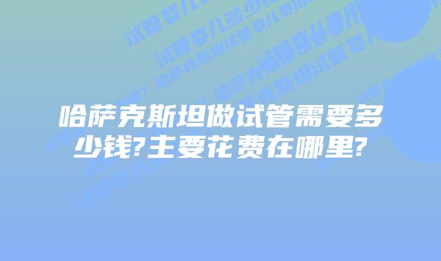 哈萨克斯坦做试管需要多少钱?主要花费在哪里?