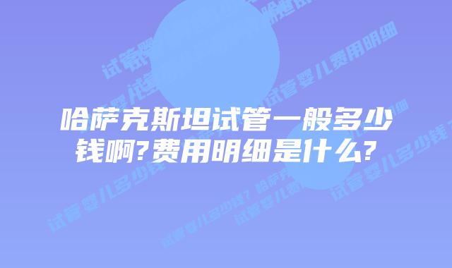 哈萨克斯坦试管一般多少钱啊?费用明细是什么?