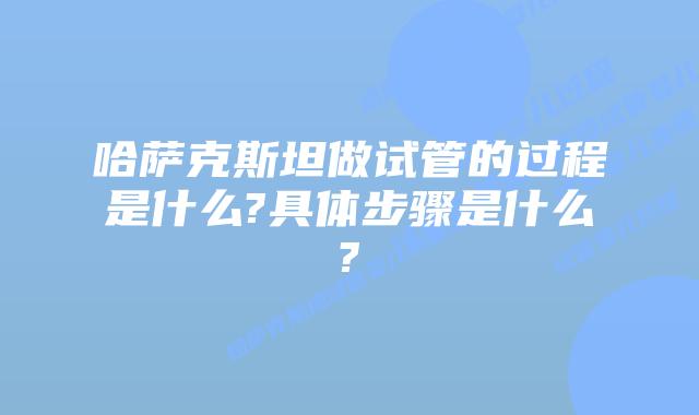 哈萨克斯坦做试管的过程是什么?具体步骤是什么?