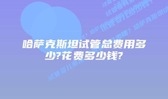 哈萨克斯坦试管总费用多少?花费多少钱?