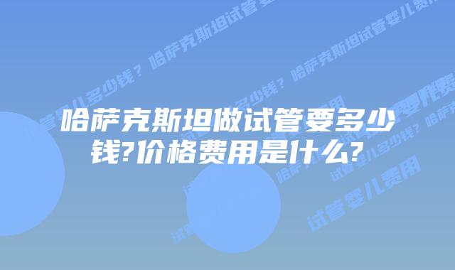 哈萨克斯坦做试管要多少钱?价格费用是什么?