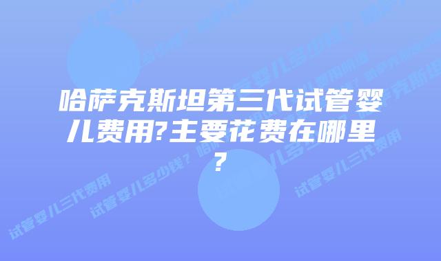 哈萨克斯坦第三代试管婴儿费用?主要花费在哪里?