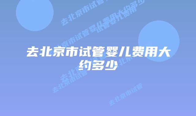 去北京市试管婴儿费用大约多少