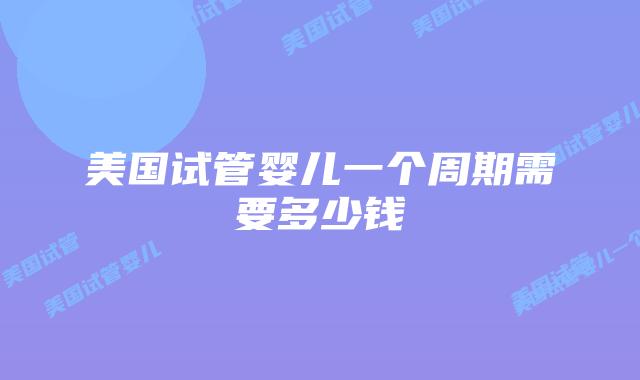 美国试管婴儿一个周期需要多少钱