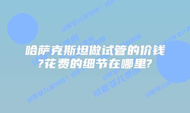 哈萨克斯坦做试管的价钱?花费的细节在哪里?