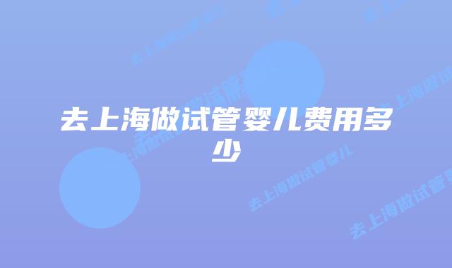 去上海做试管婴儿费用多少
