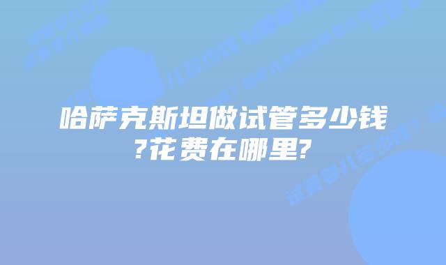 哈萨克斯坦做试管多少钱?花费在哪里?