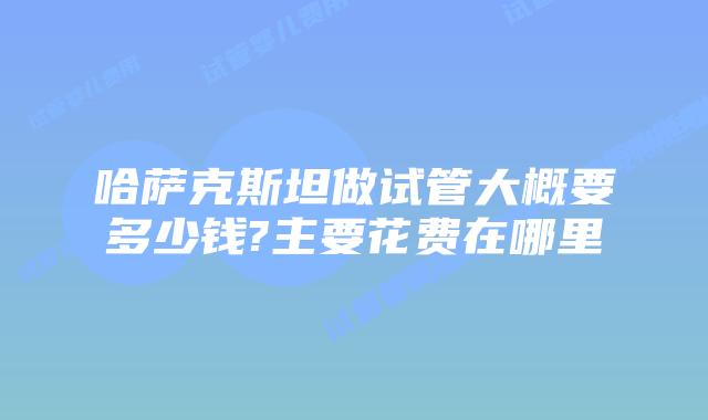哈萨克斯坦做试管大概要多少钱?主要花费在哪里