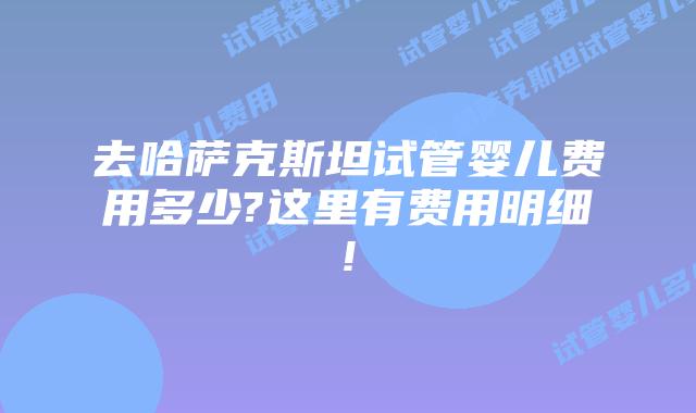 去哈萨克斯坦试管婴儿费用多少?这里有费用明细!
