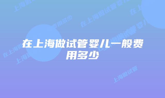 在上海做试管婴儿一般费用多少