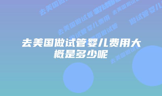 去美国做试管婴儿费用大概是多少呢