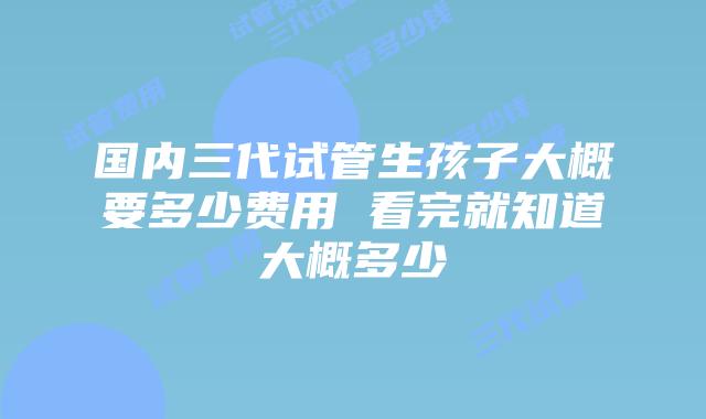 国内三代试管生孩子大概要多少费用 看完就知道大概多少