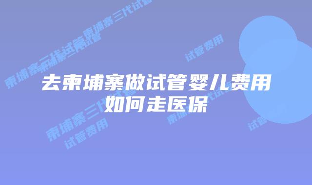 去柬埔寨做试管婴儿费用如何走医保