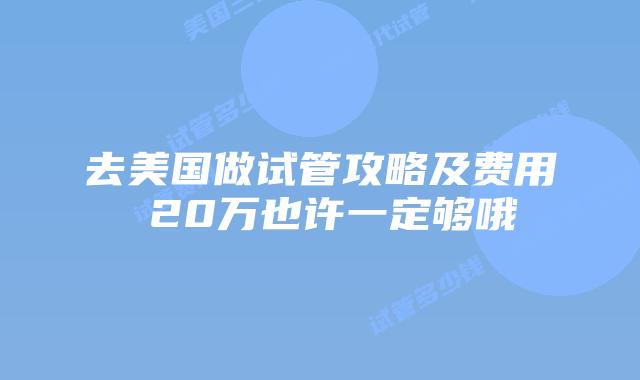 去美国做试管攻略及费用 20万也许一定够哦