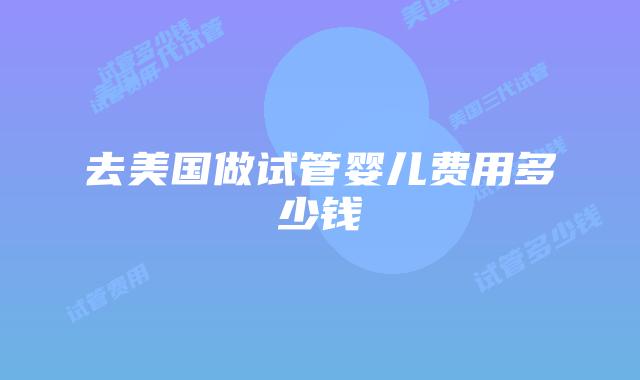 去美国做试管婴儿费用多少钱