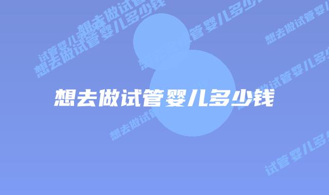 想去做试管婴儿多少钱